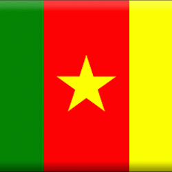 Post image for Adjustment of Status Approval in Removal Proceedings for Cameroonian Client in Columbus Ohio