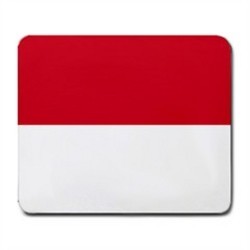Post image for J1 Waiver No Objection Statement for Indonesian Client in New York New York