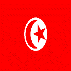 Post image for I-751 Removal of Conditions Approval for Tunisian Client in Washington, D.C.
