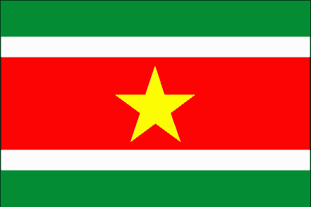 Post image for Naturalization and Citizenship N400 Approval for Surinamese Client in Cleveland Ohio