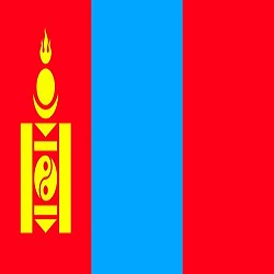 Post image for Naturalization and Citizenship N400 Approval for Mongolian Client in Wadsworth Ohio