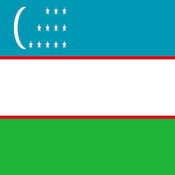 Post image for Adjustment of Status Approval in Removal Proceedings for Uzbek Client in Dublin Ohio