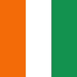 Post image for Naturalization N400 Approval for Ivorian Client in Atlanta Georgia